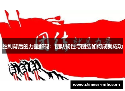 胜利背后的力量解码：团队韧性与团结如何成就成功
