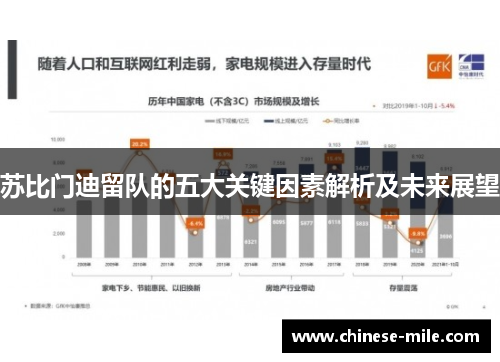 苏比门迪留队的五大关键因素解析及未来展望 苏比门迪留队的五大关键因素解析及未来展望