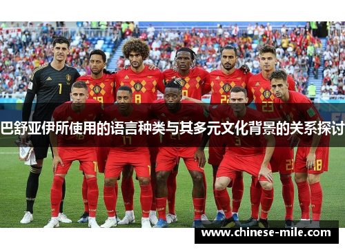巴舒亚伊所使用的语言种类与其多元文化背景的关系探讨