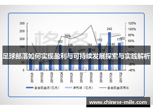 足球部落如何实现盈利与可持续发展探索与实践解析