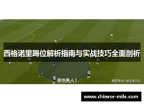 西格诺里踢位解析指南与实战技巧全面剖析
